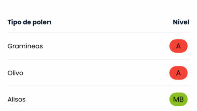 Avisos rojos por alta concentración de polen