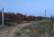 CORTE DE VÍA PECUARIA EN LA FINCA DE LA PIÑERA