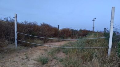 CORTE DE VÍA PECUARIA EN LA FINCA DE LA PIÑERA