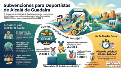 Premios para deportistas con éxitos internacionales