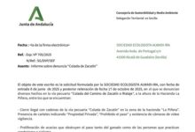 INFORME DE DELEGACIÓN TERRITORIAL SOBRE CORTE ILEGAL VÍA PECUARIA