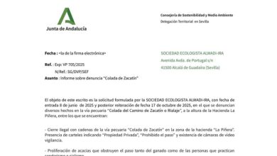 INFORME DE DELEGACIÓN TERRITORIAL SOBRE CORTE ILEGAL VÍA PECUARIA
