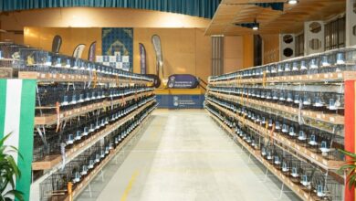 Inaugurado el XLI Concurso Ornitológico de la Asociación Alguira en la Caseta Municipal