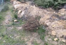 Solicitud nuevas actuaciones en vía pecuaria.