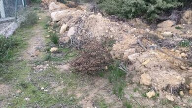 Solicitud nuevas actuaciones en vía pecuaria.