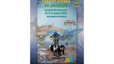 ALCALÁ DE GUADAÍRA VUELVE A SER SEDE NACIONAL DE LA COPA DE ESPAÑA DE MUSHING