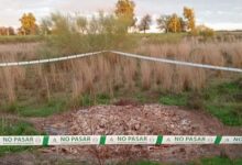 Denuncian aves muertas en la zona de la boticaria