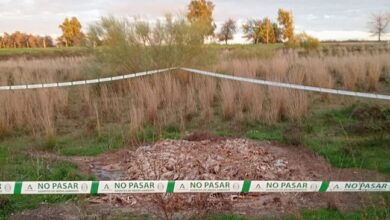 Denuncian aves muertas en la zona de la boticaria