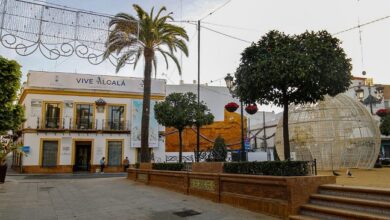 VIVE ALCALÁ atiende más de 100 consultas en su primera semana de apertura al público 