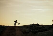 Galería fotográfica primera jornada de la Copa de España Mushing