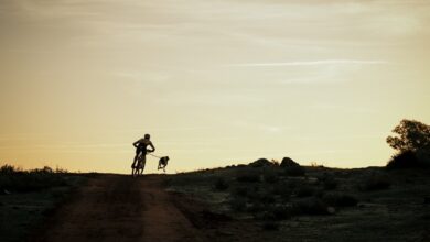 Galería fotográfica primera jornada de la Copa de España Mushing
