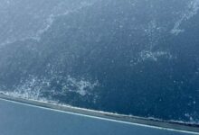 Nos levantamos hoy con hielo en los coches y frío