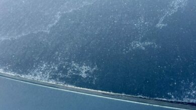 Nos levantamos hoy con hielo en los coches y frío