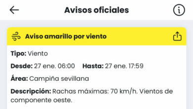 Alerta amarilla activada por lluvia y viento