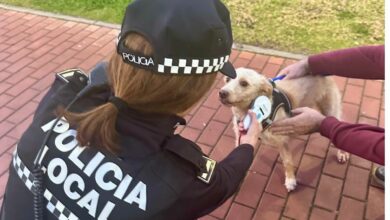 La Policía Local intensifica la vigilancia y exigirá identificación animal y utensilios obligatorios