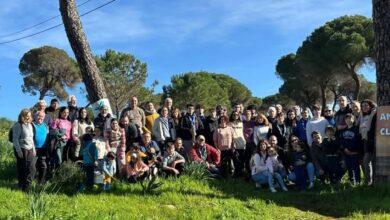 PLANTACIÓN ALWADI-IRA EN EL PINAR DE OROMANA