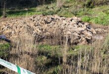 VERTEDEROS DE CARNE EN MAL ESTADO