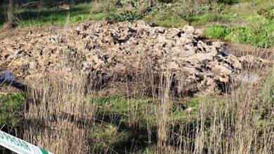 VERTEDEROS DE CARNE EN MAL ESTADO