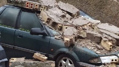 Daños de la borrasca . Cae un muro, árboles y una urbanización incomunicada