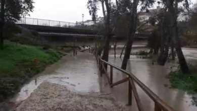 El Ayuntamiento informa del posible corte de tráfico en el Puente de la A-392 (el paralelo al Puente “romano”) por previsión de la crecida del río Guadaíra.
