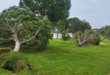 Dos accidentes en la A-92 , caída de árboles, mobiliario dañado y dos atropellos. Lo más destacado tras el paso de la tormenta.