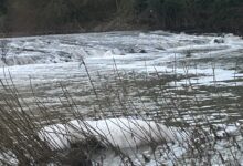 Aparece espuma en el río tras las lluvias.
