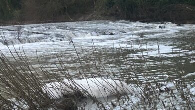 Aparece espuma en el río tras las lluvias.