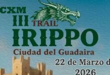 trail Irippo