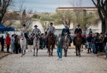 El Recinto Ferial de San Juan de Alcalá de Guadaíra acoge este fin de semana el I Concurso de Doma Vaquera