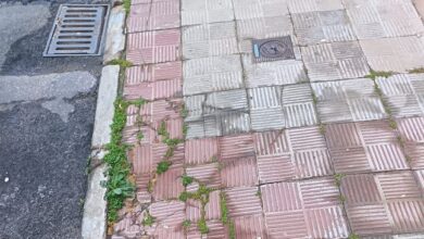 Quejas de los vecinos de malasmañanas