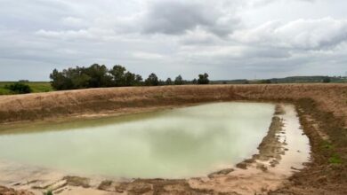 Alwadi-ira activa una ofensiva legal contra la "megabalsa" que amenaza con secar el río Guadaíra