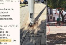 Vecinos de la calle Barrio Nuevo denuncian el estado "degradado y peligroso" de su única zona verde.