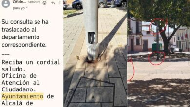 Vecinos de la calle Barrio Nuevo denuncian el estado "degradado y peligroso" de su única zona verde.