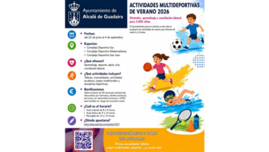 ¡Vuelven las Actividades Multideportivas de Verano 2026 a Alcalá de Guadaíra!
