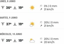 Alcalá de Guadaíra afronta una semana de «presbicia meteorológica» y tregua térmica mientras los niveles de polen dan un respiro a los alérgicos