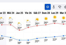 Aviso amarillo por máximas de 40 °C