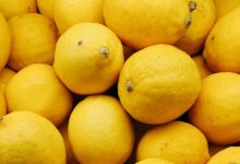 Limones (10,3%), naranjas (7,6%) y lechugas iceberg (4,6%), los alimentos básicos que más se han encarecido en junio