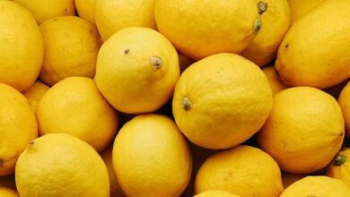 Limones (10,3%), naranjas (7,6%) y lechugas iceberg (4,6%), los alimentos básicos que más se han encarecido en junio