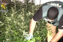 Alcalá de Guadaíra, escenario de una gran operación contra una red dedicada al 'vuelco' de drogas