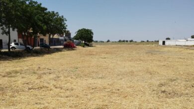El Ayuntamiento de Alcalá de Guadaíra intensifica el plan de desbroce de solares municipales con más de 56.000 m² intervenidos en el último mes