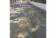 Crece la indignación en los Pinares de Oromana: Vecinos denuncian el absoluto abandono de la calle Pinsapo tras 30 años.