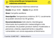 Nueva ola de calor, se activan los avisos amarillos por altas temperaturas