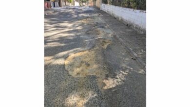 Crece la indignación en los Pinares de Oromana: Vecinos denuncian el absoluto abandono de la calle Pinsapo tras 30 años.