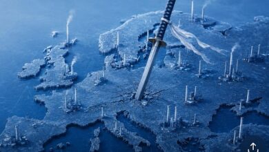 Europa: manual práctico de dependencia y harakiri industrial