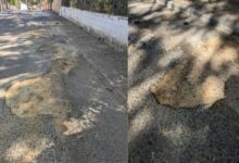 Crece la indignación en los Pinares de Oromana: Vecinos denuncian el «absoluto abandono» de la calle Pinsapo tras 30 años.