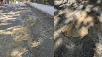 Crece la indignación en los Pinares de Oromana: Vecinos denuncian el «absoluto abandono» de la calle Pinsapo tras 30 años.