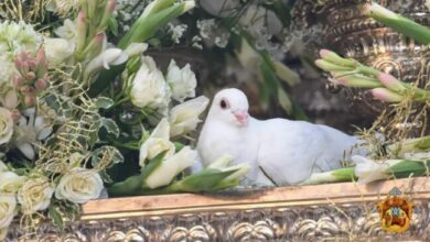 No habrá palomas en el paso de la Virgen del Águila por una denuncia de PACMA