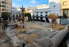 PSOE y AxSi han “matado” a los árboles de la plaza del Cabildo a