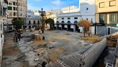 PSOE y AxSi han “matado” a los árboles de la plaza del Cabildo a