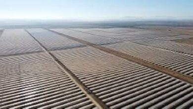 Alcalá tiene ya el equivalente a 2.800 campos de fútbol en plantas fotovoltaicas.